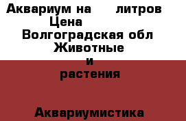 Аквариум на 180 литров › Цена ­ 4 000 - Волгоградская обл. Животные и растения » Аквариумистика   